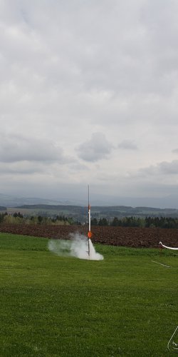 2013 Svojek Mirek Topinka